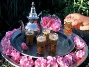 Hotel Amalay Marrakesh Morocco